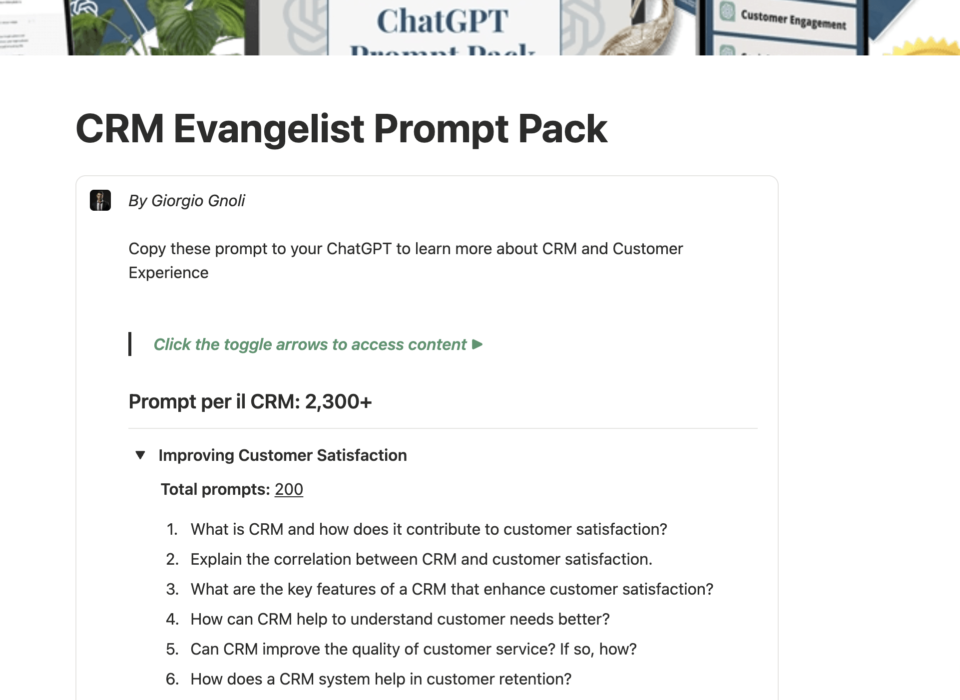 Anteprima Prompt CRM